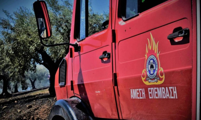 Θεσσαλονίκη: Πυρκαγιά σε χορτολιβαδική έκταση στα Διαβατά και στον Βαθύλακκο