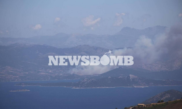 Μεγάλη φωτιά ΤΩΡΑ στα Στύρα Ευβοίας