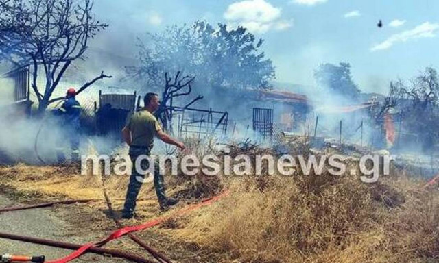 Βόλος: Φωτιά κοντά σε κατοικημένη περιοχή - Κάηκαν ιδιοκτησίες και ζώα
