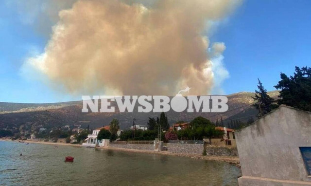 Φωτιά Εύβοια: Αυτός προκάλεσε την πυρκαγιά στα Νέα Στύρα - Τι ισχυρίστηκε στις Αρχές