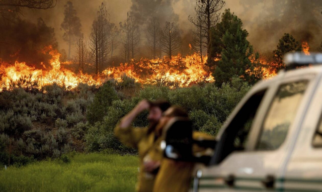 ΗΠΑ: Στις φλόγες οι δυτικές πολιτείες εν μέσω καύσωνα- Νεκροί δύο πυροσβέστες