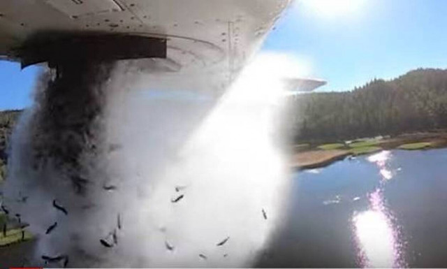 HΠΑ: Στη Γιούτα κάθε καλοκαίρι «βρέχει» ψάρια- Δείτε γιατί [βίντεο]