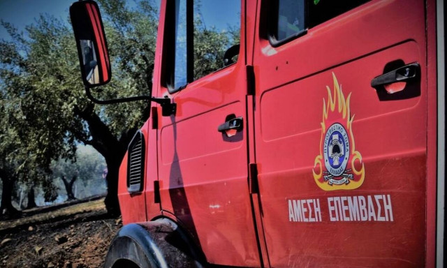 Φωτιά στην Παλλήνη