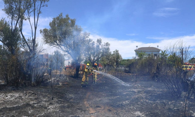 Πυρκαγιές: Αυξημένη κατά 300% η καμένη έκταση και κατά 160% ο αριθμός των δασικών πυρκαγιών στη χώρα