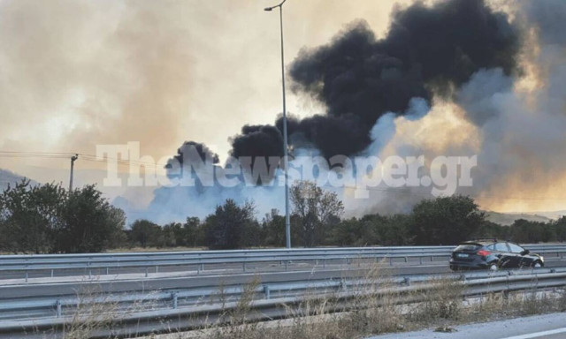 Σε εξέλιξη μεγάλη φωτιά έξω από τον Βόλο - Δύσκολη μάχη με τις φλόγες (vid)