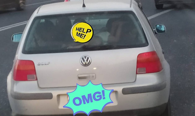 Η φωτογραφία από την Κρήτη που προκαλεί οργή και έγινε viral!