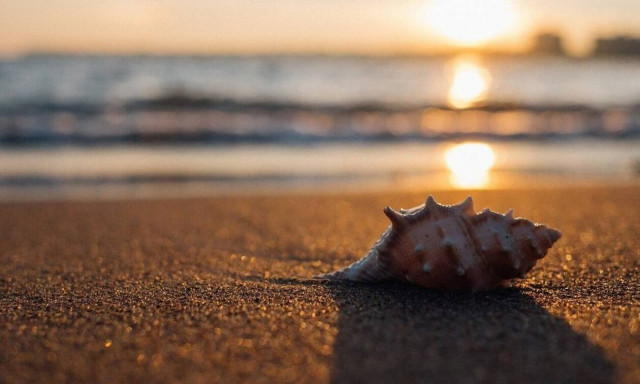 Επίδομα αδείας 2021: Πότε καταβάλλεται στους εργαζόμενους - Υπολογίστε ΕΔΩ το ποσό