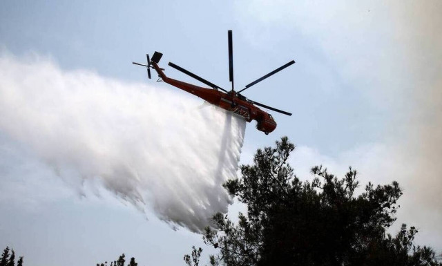 Φωτιά ΤΩΡΑ στους Δελφούς