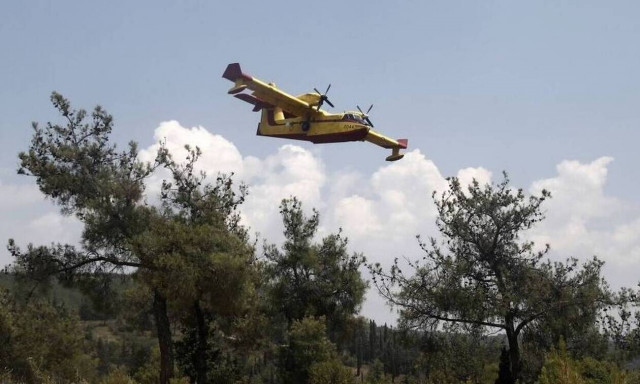 Πυροσβεστική: 22 δασικές πυρκαγιές το τελευταίο 24ωρο - Σύλληψη για εμπρησμό στο Κορωπί
