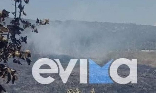 Δύο φωτιές ΤΩΡΑ στην Εύβοια - Κινητοποίηση της Πυροσβεστικής για την κατάσβεση