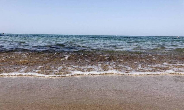 Τραγωδία στην Εύβοια: Νέος πνιγμός ηλικιωμένου