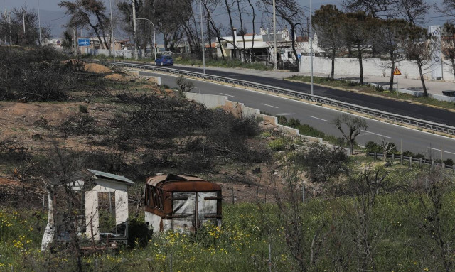 Μάτι τρία χρόνια μετά: Οι ενέργειες αποκατάστασης στις πληγείσες περιοχές