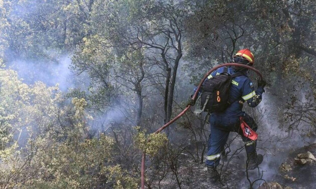 Wildfire near inhabited area on Salamina