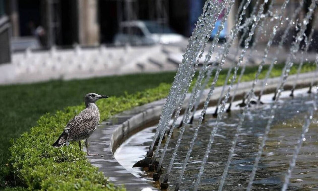 Νέο κύμα καύσωνα