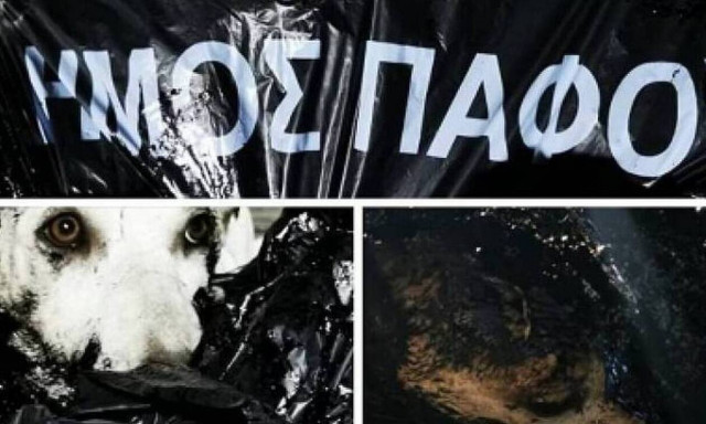 Κύπρος: Έλουσαν σκυλάκια με πίσσα και τα πέταξαν στα σκουπίδια