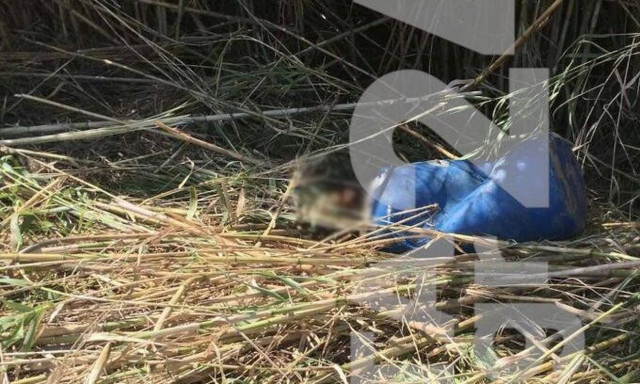 Θρίλερ στο Ρέθυμνο: Εντοπίστηκαν ανθρώπινα οστά σε βαρέλι πεταμένο στο ποτάμι