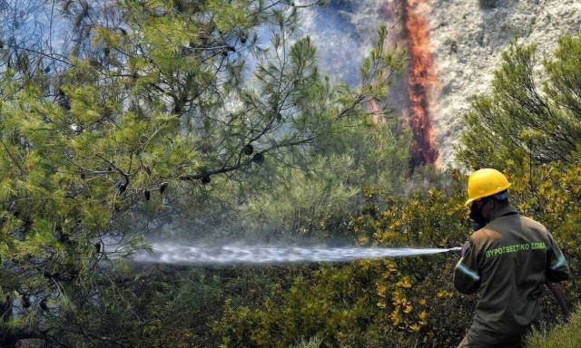 Φωτιά ΤΩΡΑ στην Αχαΐα