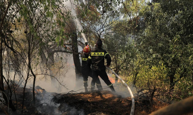 Φωτιά στη Σταμάτα: Στο Αυτόφωρο ο μελισσοκόμος - Οι κατηγορίες που τον βαραίνουν