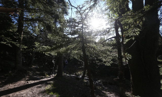 Καιρός: Ο καύσωνας «χτυπά» και τα… βουνά – Οι χαμηλότερες θερμοκρασίες από τον Σάκη Αρναούτογλου