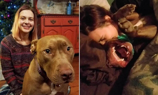 Αυτός ο σκύλος δεν γαβγίζει αλλά… μαρσάρει!