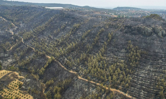 Σκληρή μάχη με τις πυρκαγιές στην Τουρκία: Υπό έλεγχο οι περισσότερες φωτιές