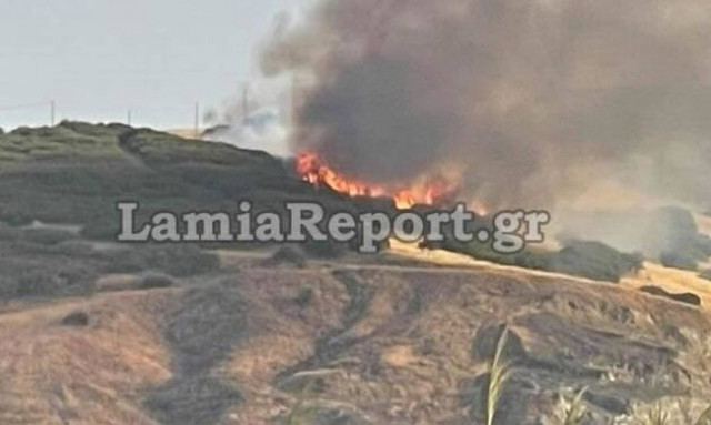 Φωτιά ΤΩΡΑ στη Λαμία