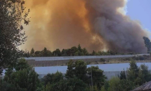 Φωτιά στην Αχαΐα: Δραματική η κατάσταση - Καίγονται σπίτια, εκκενώθηκαν οικισμοί