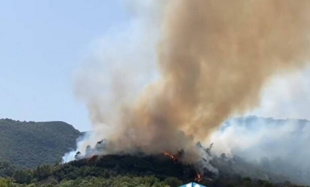 Φωτιά ΤΩΡΑ στην Αιτωλοακαρνανία: Εκκενώνονται προληπτικά οι οικισμοί Παραδείσι και Πεπάτη