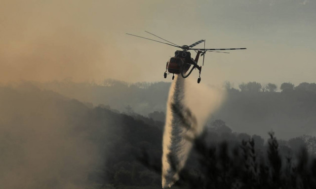 Δύο πυρκαγιές στη Φθιώτιδα