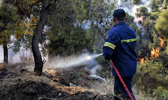 Φωτιά τώρα: Πυρκαγιά στα Λαγυνά Έβρου