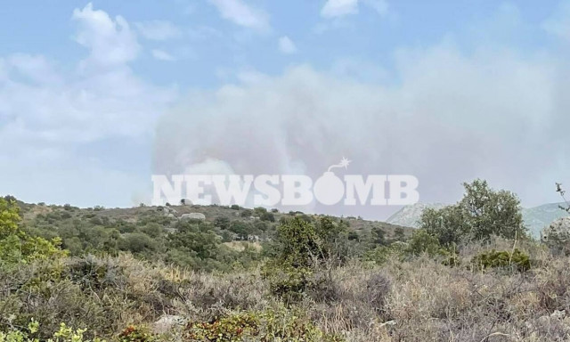 Αναζωπύρωση της φωτιάς στη Μεσσηνία: Εντολή για εκκένωση σε Βασιλίτσι, Λειβαδάκια, Άγιο Γεώργιο