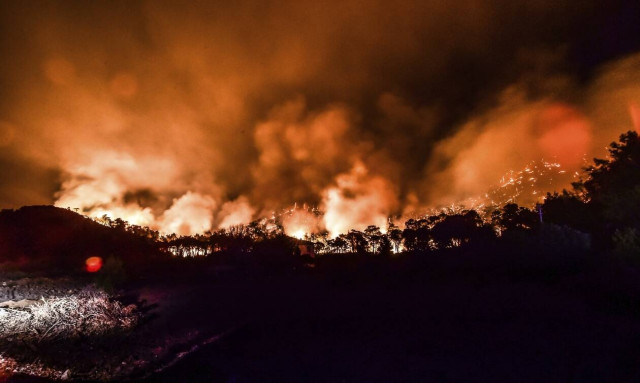 Τουρκία: Η φωτιά πλησιάζει επικίνδυνα τον ηλεκτρικό σταθμό του Μίλας