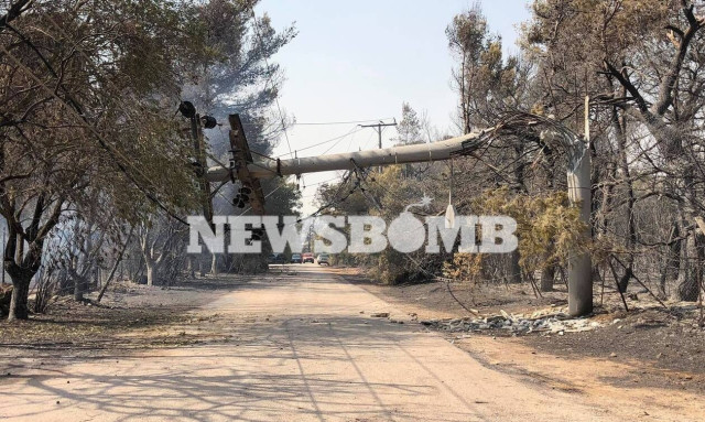 Three days of fires destroyed more than half of other years' entire totals, Observatory says