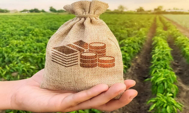 ΟΠΕΚΕΠΕ: Πληρωμή ύψους 7,6 εκατ. ευρώ σε δεκάδες δικαιούχους (πίνακες με ποσά)