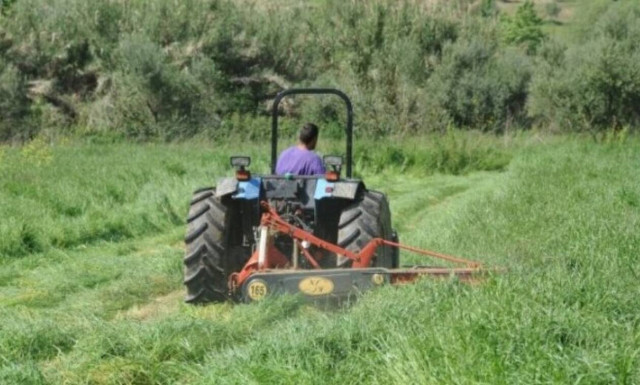 ΕΛΓΑ: Ενισχύεται με 60 εκατ. ευρώ από το υπουργείο Οικονομικών