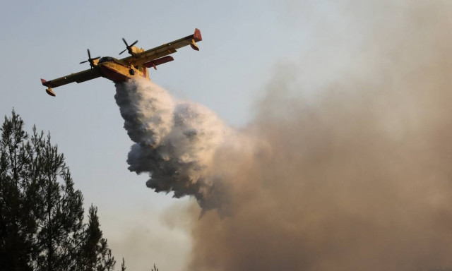 Φωτιά ΤΩΡΑ στη Μεσσηνία: Ξέσπασε πυρκαγιά στην Κάτω Μέλπεια