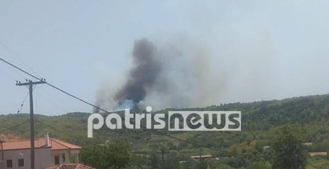 Τρία τα πύρινα μέτωπα στην Ηλεία