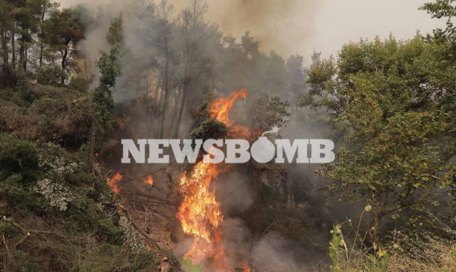 Φωτιά Εύβοια: Σε κατάσταση Έκτακτης Ανάγκης η Δημοτική Ενότητα Ελυμνίων