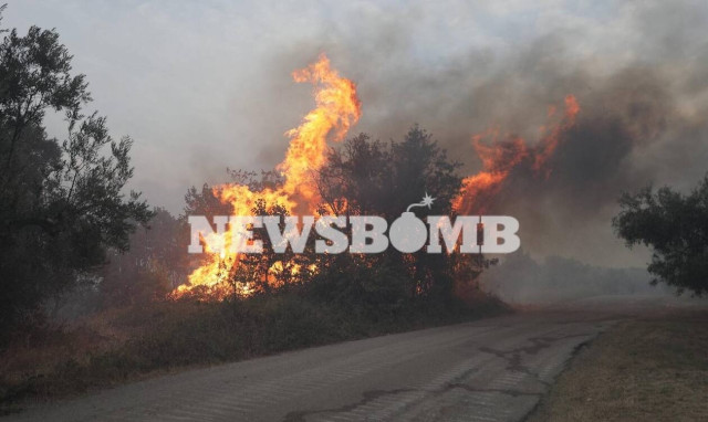 Attica, Evia, Ancient Olympia still battling raging fires on Friday