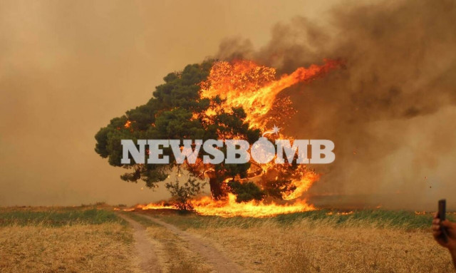 Φωτιά ΤΩΡΑ: Μια προσαγωγή υπόπτου στο Κρυονέρι - Νεαρός κινούταν κοντά στο μέτωπο