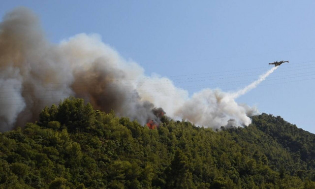 Φωτιές στη Λάρισα: Υπό έλεγχο οι πυρκαγιές σε Σαραντάπορο και Ανατολή - Επτά «μέτωπα» στη Θεσσαλία
