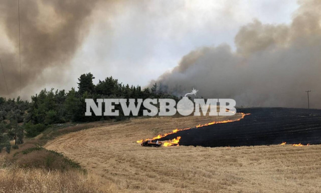 Φωτιά στην Εύβοια: Συγκλονίζει ο δήμαρχος Μαντουδίου – «Θα έχουμε νεκρούς χωρίς εναέρια μέσα»
