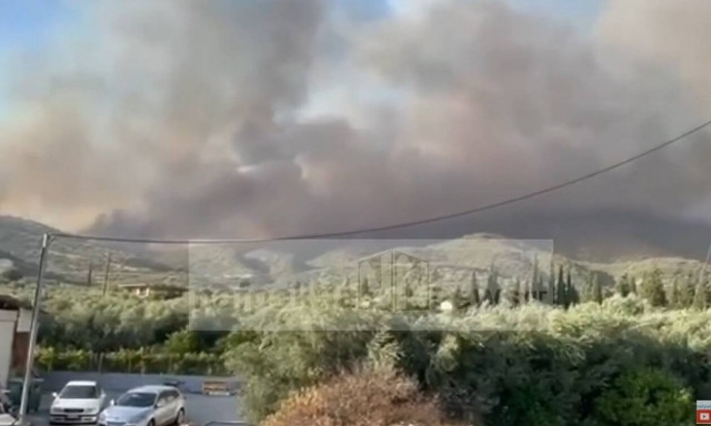 Φωτιά στη Φωκίδα: Εκκενώνονται τρία χωριά - Μήνυμα του 112