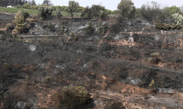 Έσβησε η φωτιά στο Σούνιο - «Σε εμπρησμό οφείλεται», λέει ο δήμαρχος