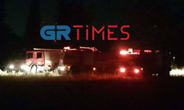 Φωτιά στη Θεσσαλονίκη: Πυρκαγιά σε δρυοδάσος Natura 2000 - Για εμπρησμό κάνουν λόγο οι υπεύθυνοι