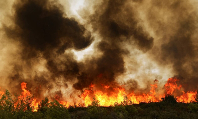 Φωτιά ΤΩΡΑ: Σύλληψη ενός 30χρονου για εμπρησμό από πρόθεση στη Μεσσηνία