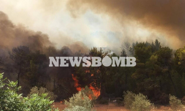 Φωτιά στην Αττική: Πέθανε ο κάτοικος της Ιπποκρατείου Πολιτείας που νοσηλευόταν στο ΚΑΤ