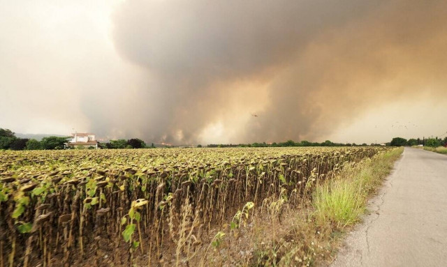 Φωτιά ΤΩΡΑ: Αύξηση 180% φέτος στις καμένες εκτάσεις - Στάχτη 150.000 στρέμματα στην Εύβοια