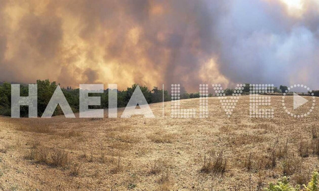 Φωτιά στην Ηλεία: Πύρινος όλεθρος στη Νεμούτα – Διακοπή κυκλοφορίας στην Ε.Ο. Τρίπολης - Πύργου