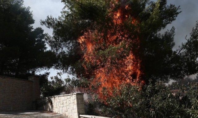 Πλειώνης σε Τσίπρα: Δεν ζήτησαν ενεργοποίηση του επιχειρησιακού συστήματος IRIS 2.0